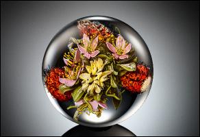 binder-katalog-2012a