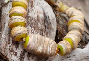 binder-katalog-2012a1a