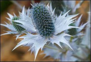 binder-katalog-2012a1b1