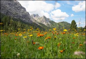 Charta-Nachhaltiges-Design