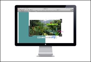 colibri-marketing-website