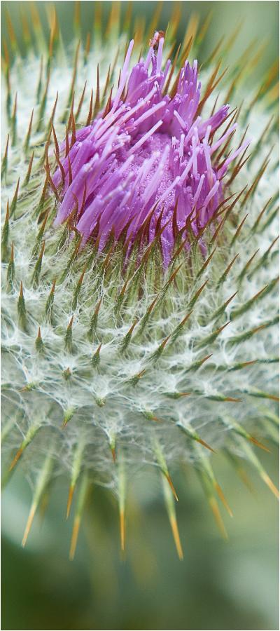 England20110707111894